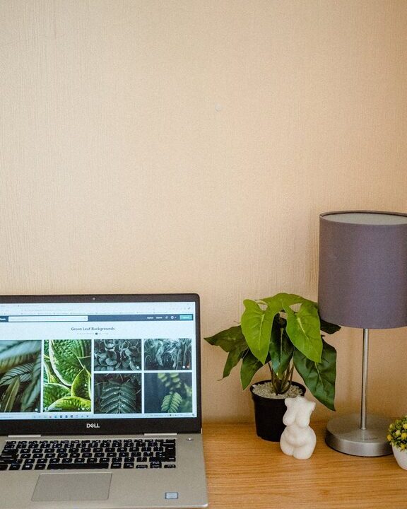 Tips for Creating a Cozy and Functional Home Workspace